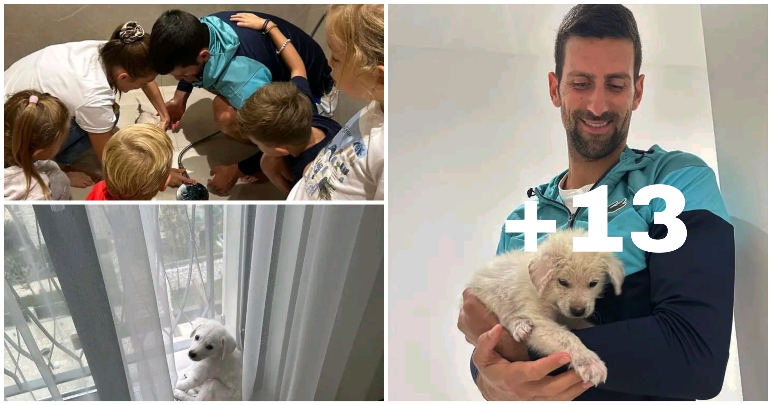 About Novak Djokovic And His Children Love For His Dog Pet [PHOTOS].